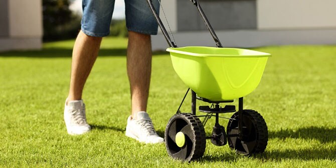 best time to plant grass seed